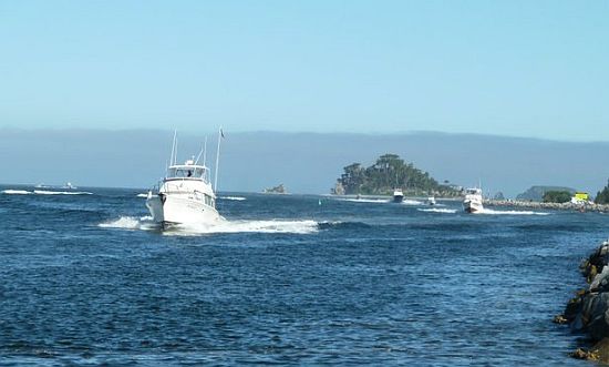 Marlin make up the numbers at Tollgate Classic